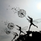 Illustration for article titled The Full Sized Wire Fairy Queen of Trentham Gardens
